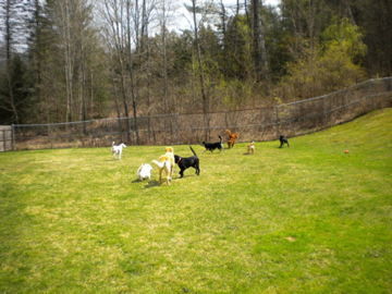 The morning play crew